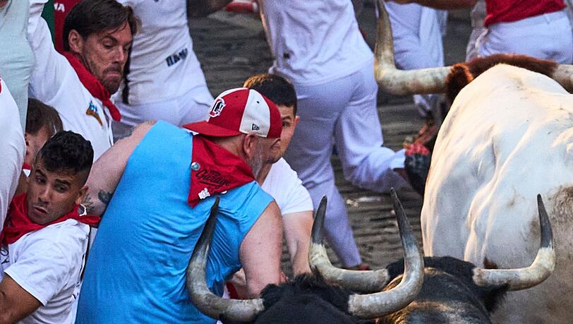 Auf Tuchfühlung mit dem Tod: Die spitzen und langen Hörner der Kampfstiere können den Läufern bei den Stierhatzen während des ebenso berühmten wie umstrittenen San-Fermín-Festes im nordspanischen Pamplona lebensgefährliche Verletzungen zufügen. Auf Tuchfühlung mit dem Tod: Die spitzen und langen Hörner der Kampfstiere können den Läufern bei den Stierhatzen während des ebenso berühmten wie umstrittenen San-Fermín-Festes im nordspanischen Pamplona lebensgefährliche Verletzungen zufügen.