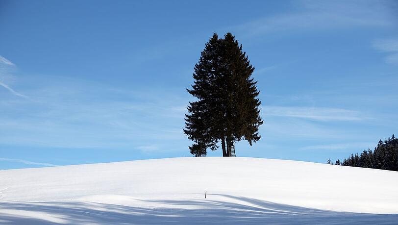 Nur in den h&ouml;heren Lagen zeigt sich die Sonne.