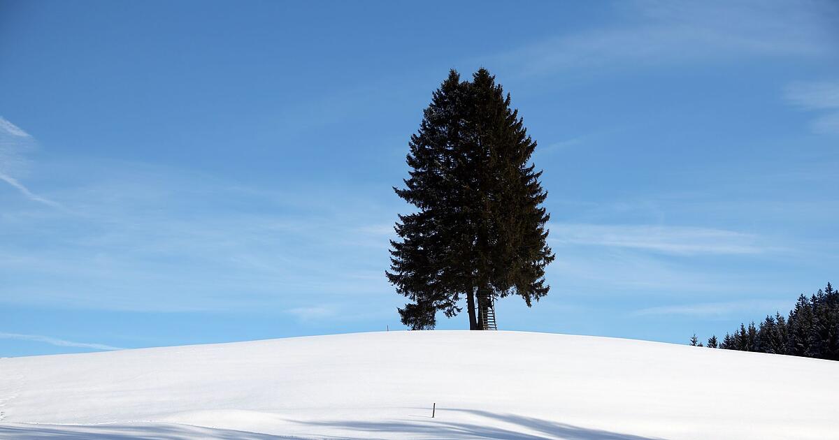 Autofahrer-m-ssen-besonders-aufpassen-So-wird-das-Wetter-in-Bayern