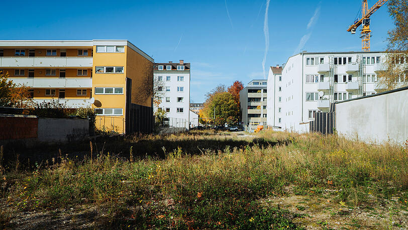 Unkraut statt Wohnungen: An der Marsstraße 76 passiert seit Jahren einfach nichts. Unkraut statt Wohnungen: An der Marsstraße 76 passiert seit Jahren einfach nichts.
