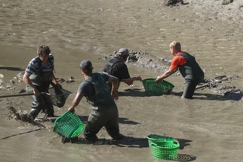 Bilder vom Badesee: Wo ist die Alligator-Schildkröte vom Oggenrieder Weiher?