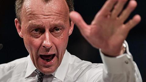 Friedrich Merz verteidigt das Karlsruher Urteil zur EZB.
