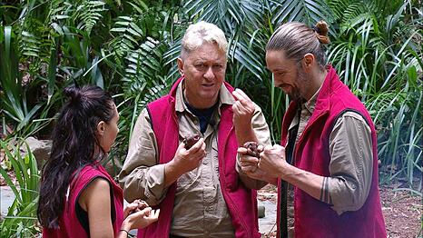 Wer kann das Dschungelcamp 2026 gewinnen?