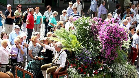 Gärtnertag am Viktualienmarkt