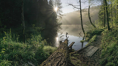 Morgennebel am Loidlsee: idyllischer geht&rsquo;s kaum.