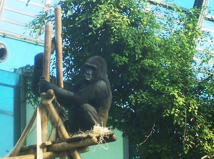 ... man macht mit der Familie mal wieder einen Ausflug in den Tierpark...