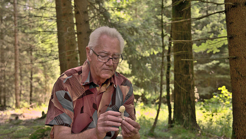 Pilzsachverständiger Georg Probst in seinem Element. Pilzsachverständiger Georg Probst in seinem Element.