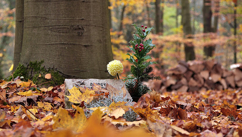 Trauerrednerin Daniela Mecklenburg hält viele ihrer Zeremonien im Wald ab, sie empfindet diese Feiern als besonders heilsam. "Immer mehr Münchner wagen mittlerweile diesen Schritt", sagt sie. Eine Trauerfeier im Wald ist nicht zu verwechseln mit einer Beisetzung im Friedwald.