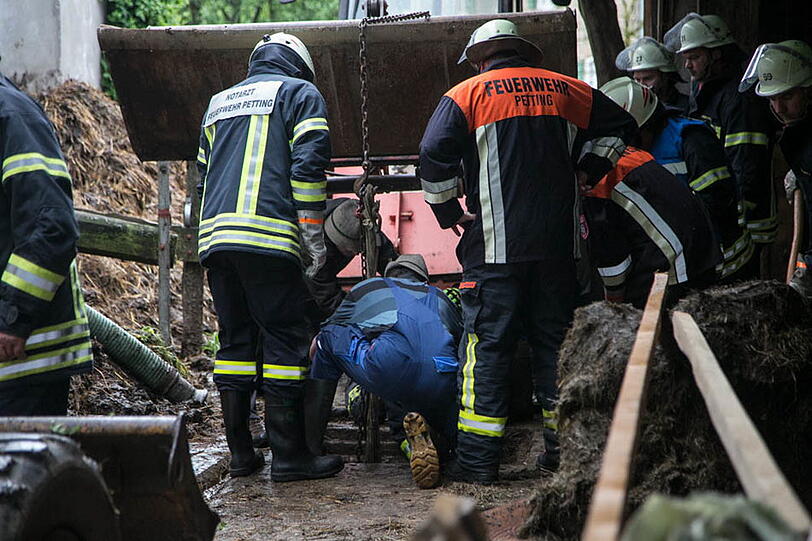 Eine Kuh in Petting musste von der Feuerwehr aus der Güllegrube gehievt werden. Die Bilder.