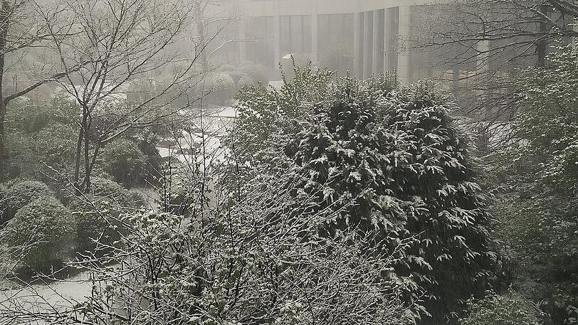 Am Dienstag kehrte der Winter auch nach München zurück. Der Innehof der AZ-Redaktion war verschneit.