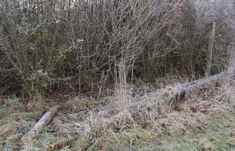 Die Einzäunung an der Langwieder Seenplatte verfällt.