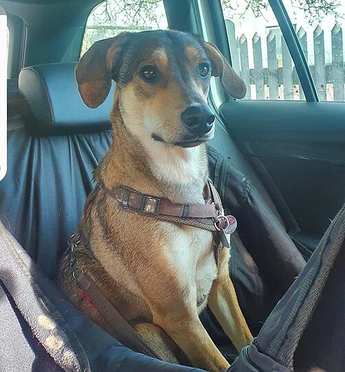 Frida
