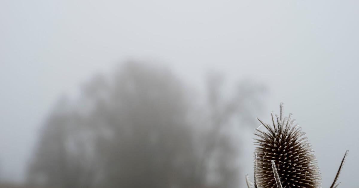 Der-Samstag-wird-tr-b-die-Nacht-zum-Sonntag-glatt