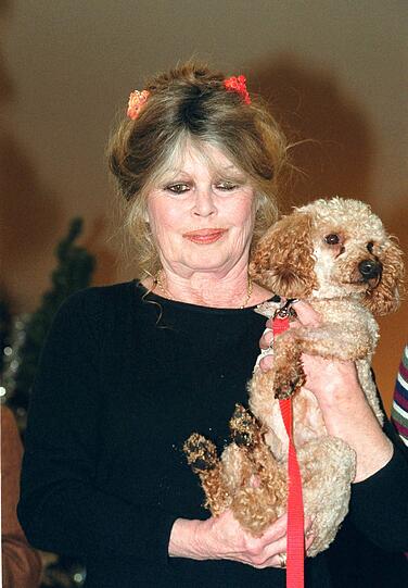 Brigitte Bardot