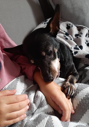 Miss Mausi
