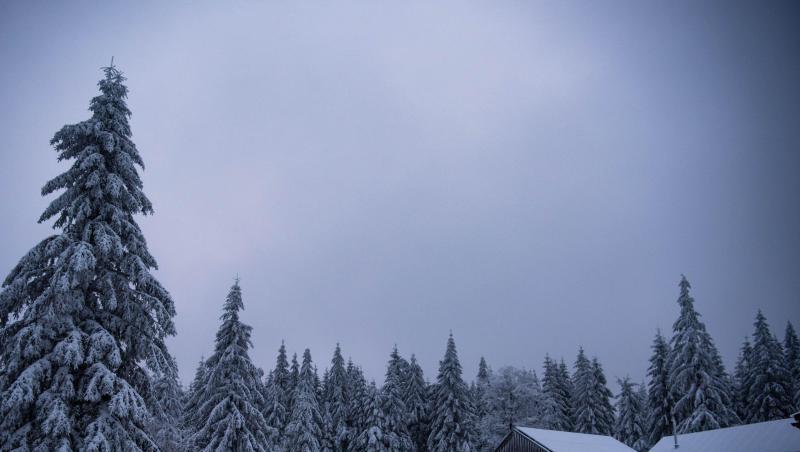 Mit dichtem Schnee bedeckte Fichten sind neben dem Seehaus nahe des Berges Neußhardt zu sehen. Foto: Nicolas Armer/Archiv Mit dichtem Schnee bedeckte Fichten sind neben dem Seehaus nahe des Berges Neußhardt zu sehen. Foto: Nicolas Armer/Archiv