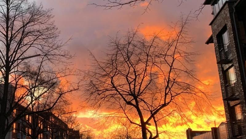 Im Stadteil Winterhude entsteht bei einem Sonnenuntergang durch das sich in den Wolken brechende Licht der Eindruck eines Großfeuers. Im Stadteil Winterhude entsteht bei einem Sonnenuntergang durch das sich in den Wolken brechende Licht der Eindruck eines Großfeuers.