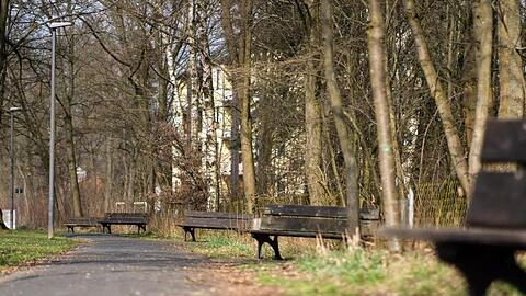 Die Sonne scheint auf Sitzbänke entlang eines Fußgängerweges. Foto: Nicolas Armer/dpa/Symbolbild