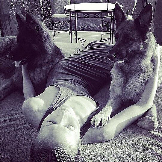 Model-Mama Heidi Klum mit einem Fast-Busenblitzer - und ihren zwei Schäferhunden Max und Freddy.