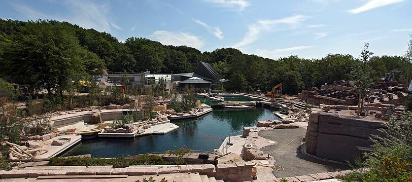 Die neue umstrittene Delfin-Lagune im Nürnberger Zoo. So sah die Baustelle aus.