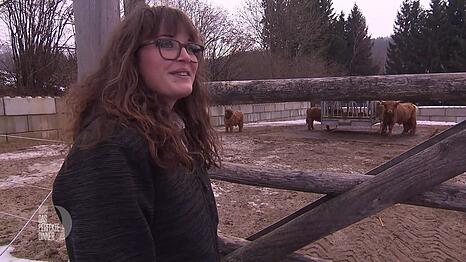 Die schottischen Hochlandrinder liegen Lena besonders am Herzen.