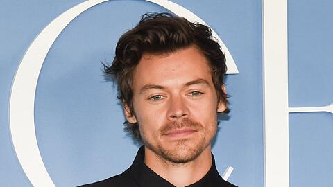 Harry Styles erlebt derzeit einen regelrechten Hype.