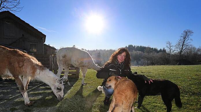 Daniela Kienle, Leiterin des Gnadenhofes "Zuflucht für Tiere im Allgäu", füttert Lamas und Hunde.