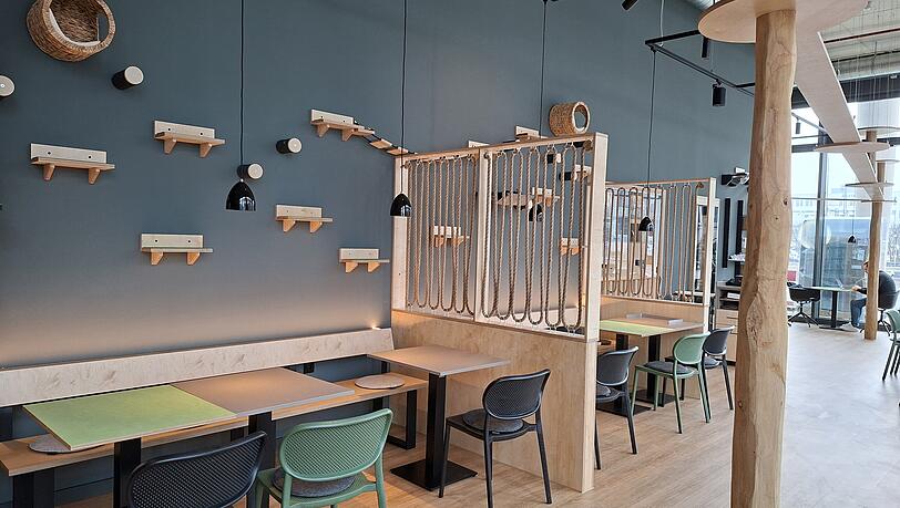 Damit die Katzen hoch hinaus k&ouml;nnen, sind an der Decke Laufwege und an den W&auml;nden Plattformen angebracht.