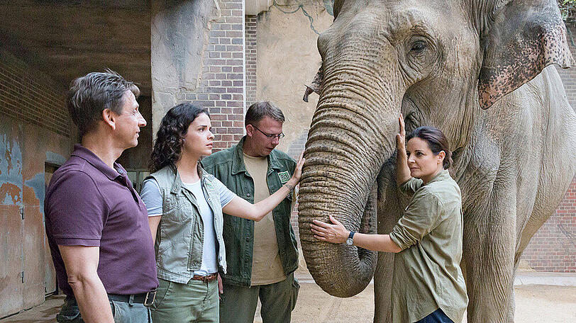 "Tierärztin Dr. Mertens: Wege zum Glück": Susanne Mertens (Elisabeth Lanz, r.) vermutet Rheuma bei Elefantendame Rani
