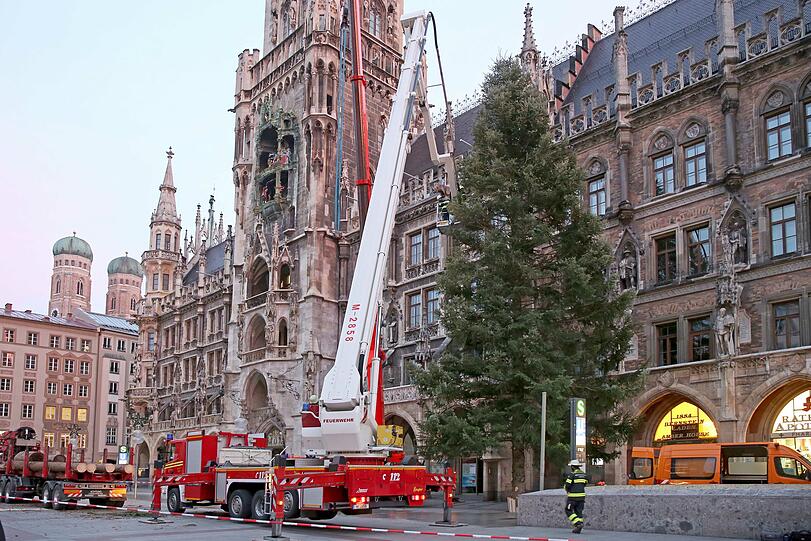 Der Christbaum am Marienplatz.