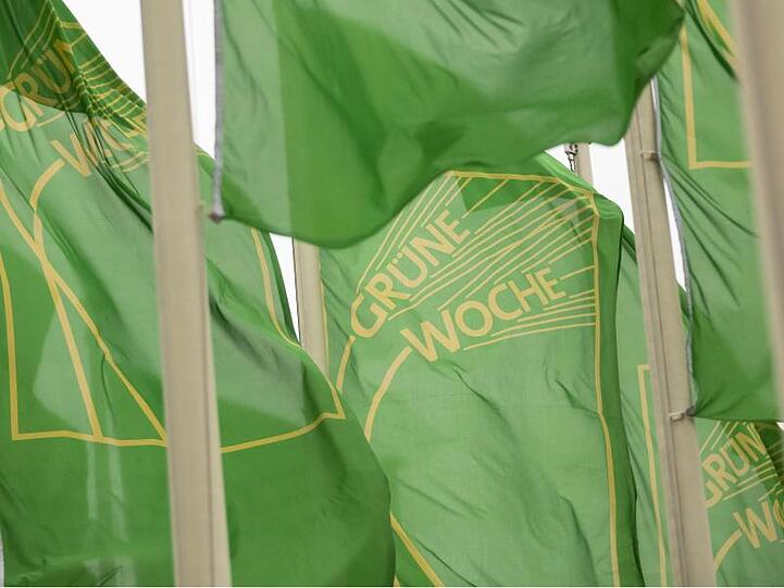 Fahnen der Internationalen Grünen Woche 2019 wehen an der Messe Berlin im Wind. Die Messe für Ernährung, Landwirtschaft und Gartenbau läuft vom 18. bis zum 27. Januar.