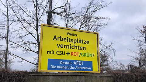 Auffällige AfD-Wahlwerbung wie hier in Bamberg ist auch in anderen Städten in Deutschland zu sehen. Es handelt sich nicht um offizielle AfD-Wahlplakate, sondern um eine Aktion des Spenders Gerd Dingler aus Österreich. (Archivbild)