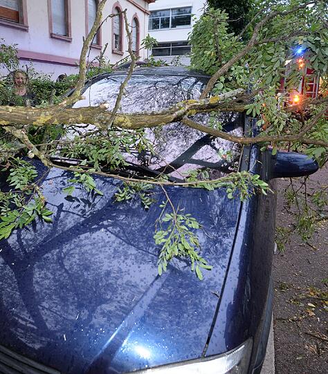 Die Feuerwehr kämpft mit abgebrochenen Ästen, die es in der Nacht zum Freitag auf die Straßen geschleudert hat. Heftige Unwetter sind über Teile Bayerns hereingebrochen. Hier Bilder aus Freiburg
