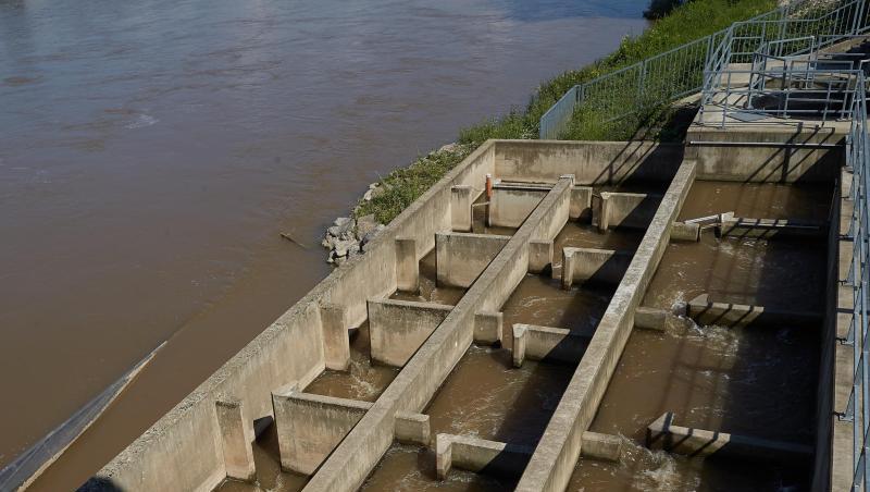 Die Fischtreppe an der Moselstaustufe in Koblenz. Foto: Thomas Frey/Archiv Die Fischtreppe an der Moselstaustufe in Koblenz. Foto: Thomas Frey/Archiv