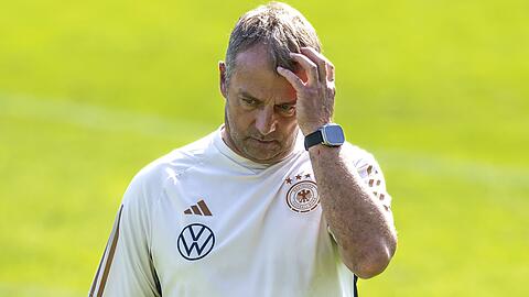 Hansi Flick ist als Trainer der deutschen Fußball-Nationalmannschaft gefeuert. Wer wird die Nachfolge antreten?