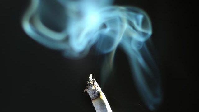 Mit einer weggeworfenen, glimmenden Zigarette verursacht ein 13-Jähriger einen Flächenbrand. (Symbolfoto)