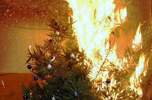 Schock nach der Weihnachtszeit: Ein Christbaunm fängt Feuer und verletzt eine dreiköpfige Familie in Franken. (Symbolbild)