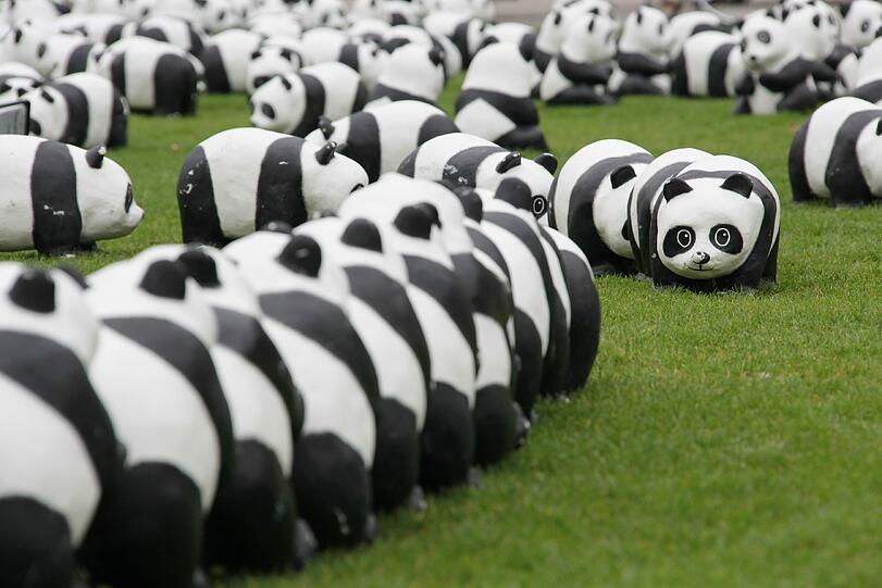 WWF Deutschland feiert 50-jähriges Bestehen: Die Panda-Skulpturen am Marienhof