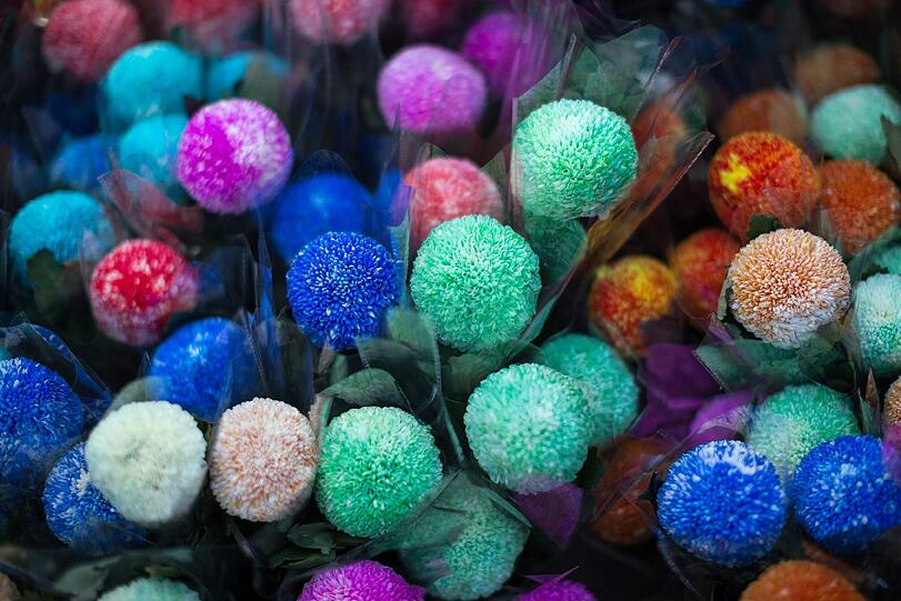 Vorbereitungen fürs Lunar-Festival. Auf Chinas Märkten werden bunte Blumen verkauft, die dann zum 8. Februar das neue Jahr einleiten sollen.