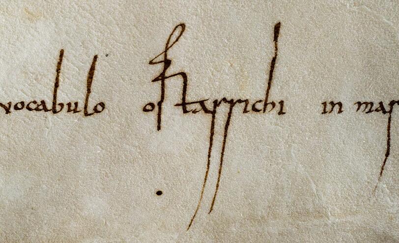 &bdquo;Vocabulo ostarrichi&ldquo;: Dieses Wort auf der wertvollen Urkunde signalisiert die Geburtsstunde Österreichs.