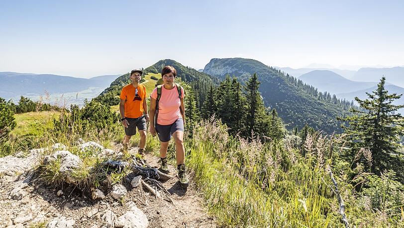 Egal, welchen Weg Sie hinauf zum Rauschberg nehmen, die Aussicht über die Chiemgauer Alpen ist einfach fantastisch. Egal, welchen Weg Sie hinauf zum Rauschberg nehmen, die Aussicht über die Chiemgauer Alpen ist einfach fantastisch.