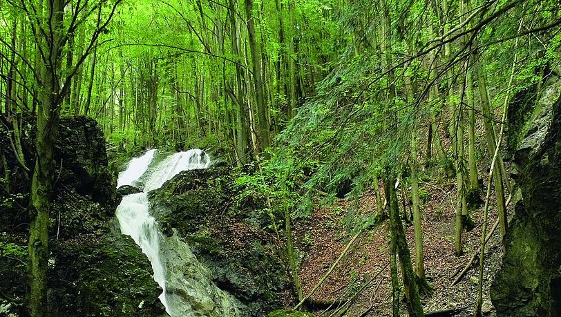 Die Wasserfälle in der Wolfsschlucht sind ein echter Hingucker. Die Wasserfälle in der Wolfsschlucht sind ein echter Hingucker.