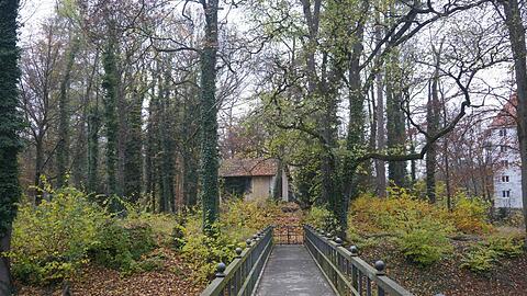 Dieser stille Teil des Magdalenenparks soll ein Refugium für Tiere und Pflanzen sein.
