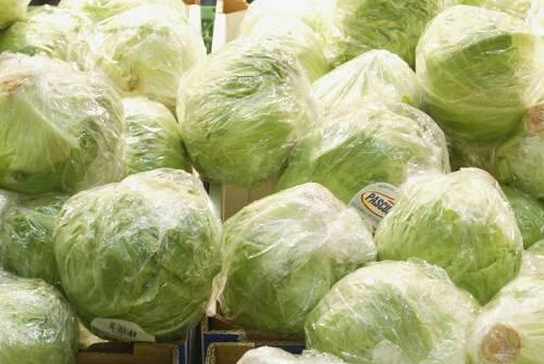 Aus dem Treibhaus oder aus Spanien? Salatköpfe im Supermarkt.
