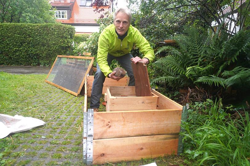 Martin Hänsel hat für das geschwächte Igel-Mädchen Ronja in seinem Pasinger Garten ein Igelhaus gebaut. Der Naturschützer beherbergt seit Jahren Igel.