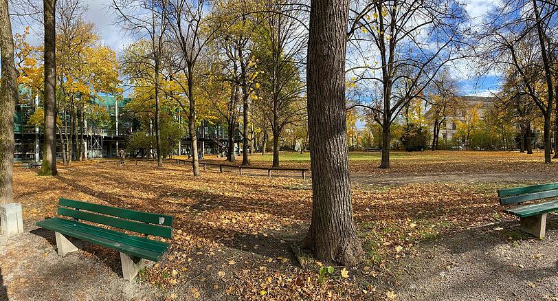 Die (grüne) TUM-Mensa an der Gabelsbergerstraße ragt von Norden her in die Grünanlage hinein. Die (grüne) TUM-Mensa an der Gabelsbergerstraße ragt von Norden her in die Grünanlage hinein.