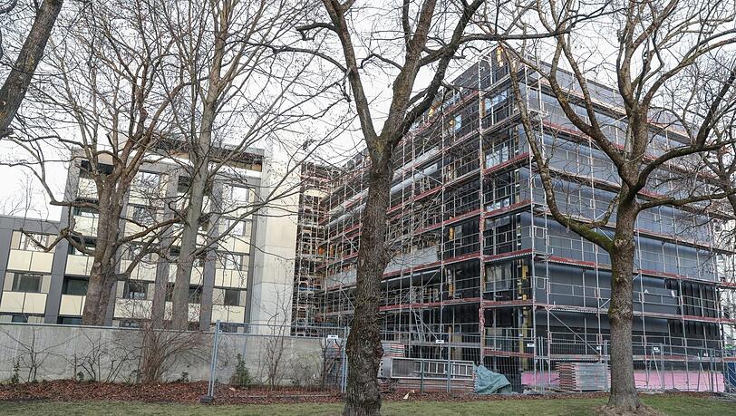 Gartenseite: Die Bäume konnten größtenteils erhalten werden. Gartenseite: Die Bäume konnten größtenteils erhalten werden.