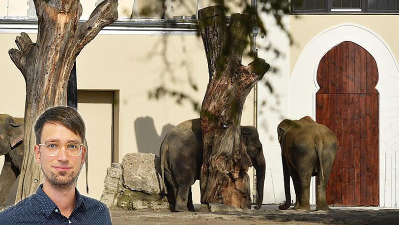 Der Lokalchef Felix Müller über die erhöhten Tierpark-Preise.