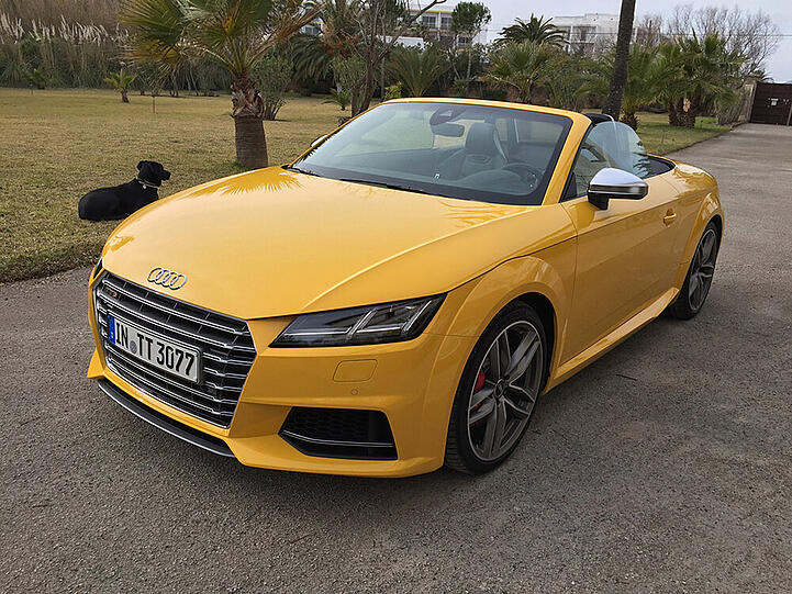 Oben offenes Erfolgsmodell: Audi TT Roadster