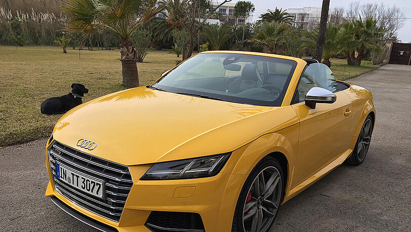 Oben offenes Erfolgsmodell: Audi TT Roadster Oben offenes Erfolgsmodell: Audi TT Roadster